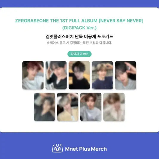 김지웅 리키 원가분철 ) 제베원 엠넷플러스 머치 강아지귀 미공포 분철합니