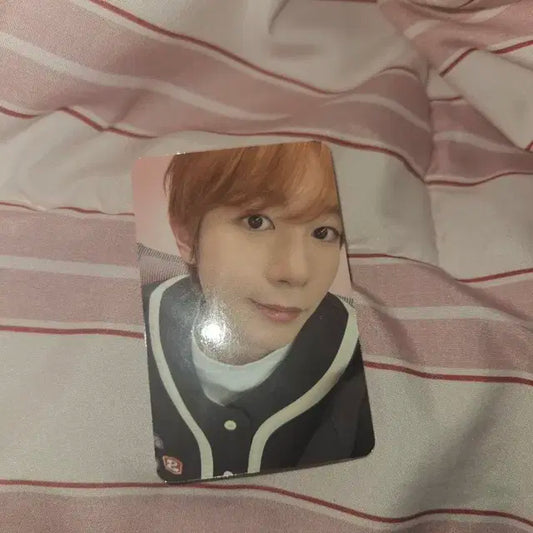 nctwish료 poppop 애플뮤직특전포카