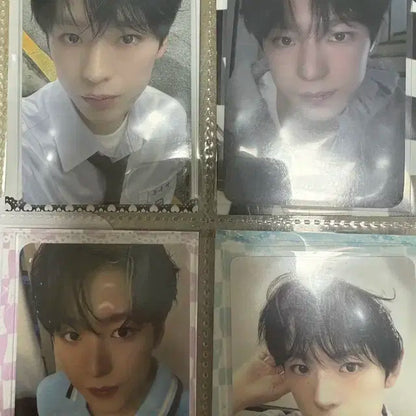 (급처) (오늘만 이가격)엔시티위시 포카 양도 일괄 합니다