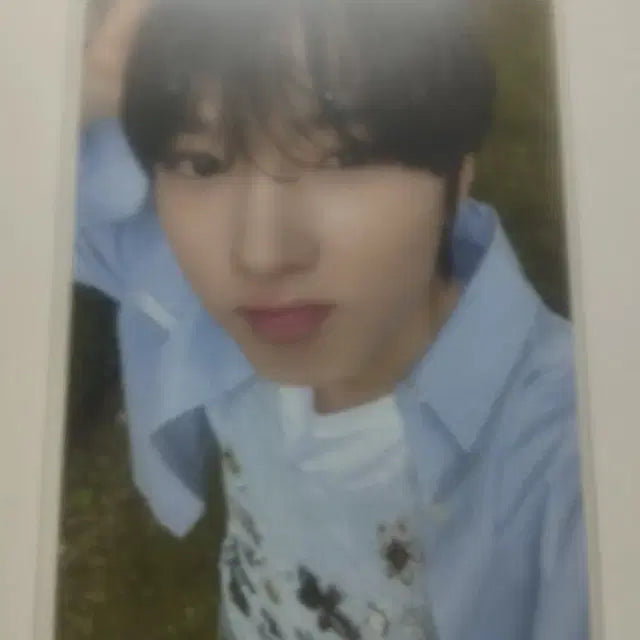 엔시티 위시 디아이콘 사쿠야 포토카드
