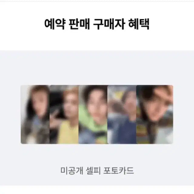 코르티스 앨범 양도