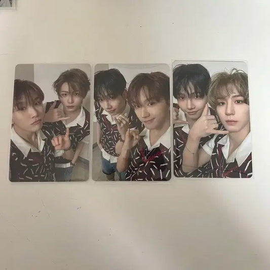 보넥도 보이라이프 포카