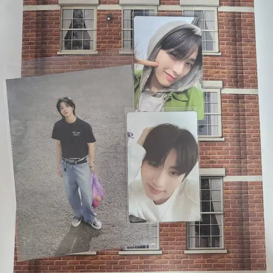보넥도