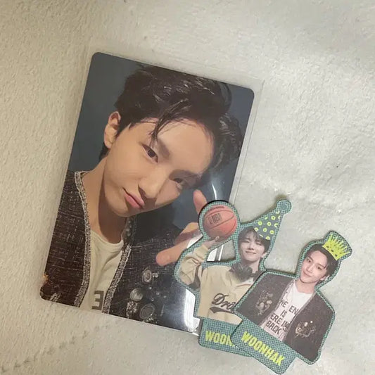 보넥도 보이넥스트도어 낙원 디비디 DVD 위버스 운학 분철 토피 포카