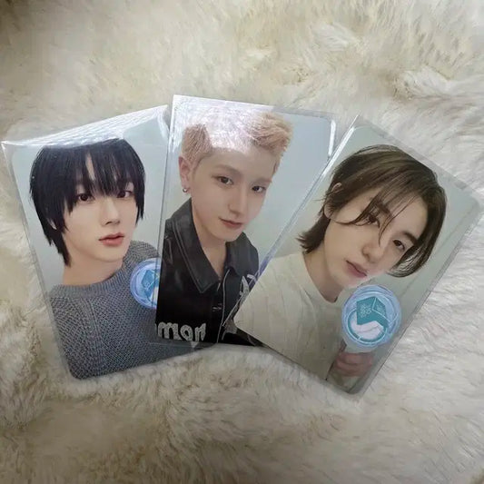 보넥도 응원봉 포카 리우 성호 이한