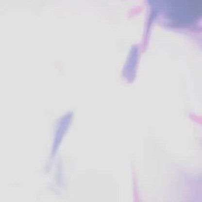 제베원 리키 우치와