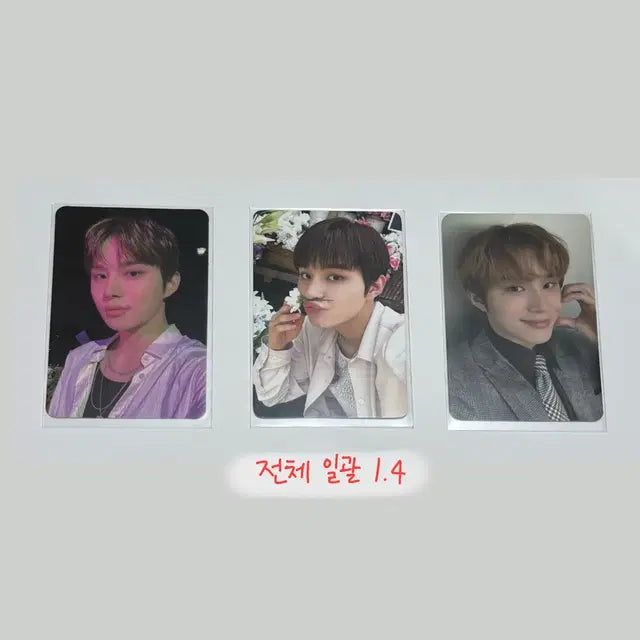 급처) 엔시티 127 정우 도재정 미공포, 왕왕즈 생파 특전 일괄 양도