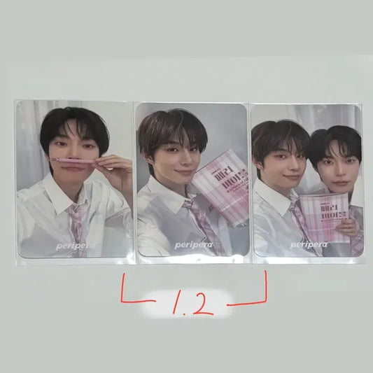 급처) 페리페라 스쿨 힙 포카 일괄 양도 도영 정우 유닛