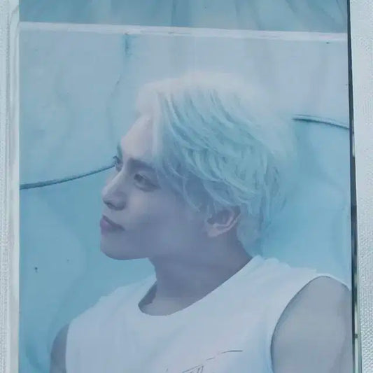 샤이니 한정사진 4*6 세트