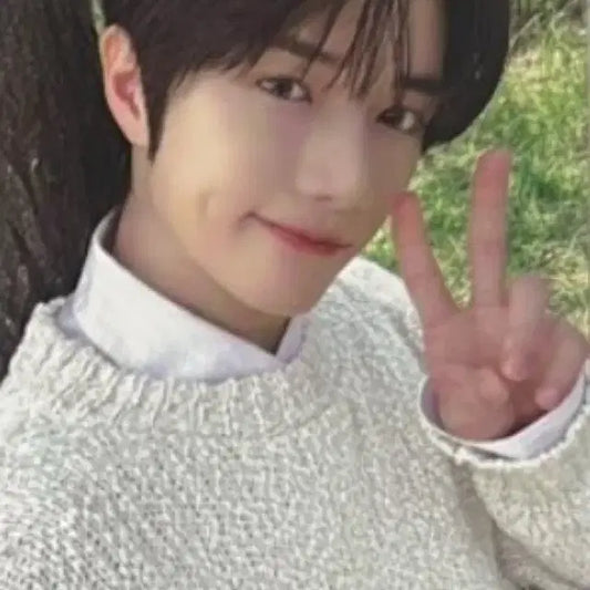 투모로우콘  모아존 범규 포카