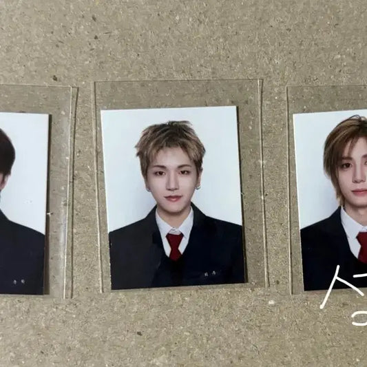 보넥도 닥터지 증사