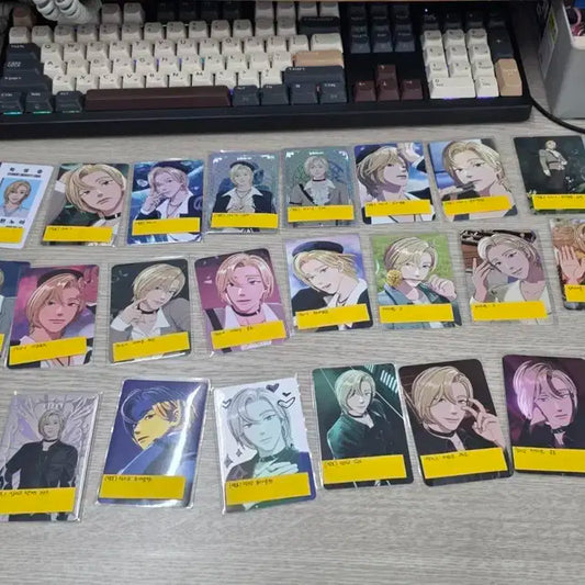 플레이브 노아 포카 일괄 양도