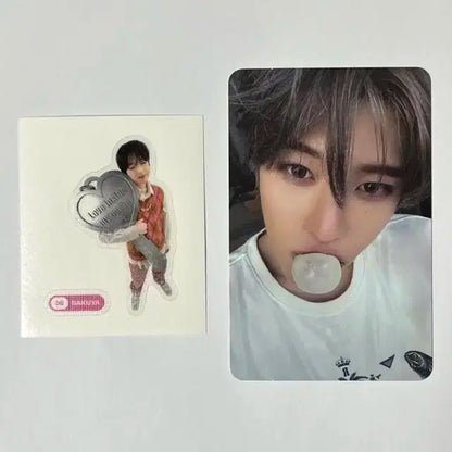 일괄) 팝츄 시온포카, 사쿠야띠부, 폴라로이드