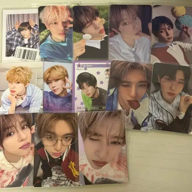 엔시티 위시 시온 포카 일괄