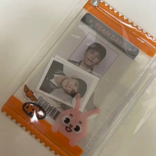 데이식스 원필 라이선스 ID 포토세트