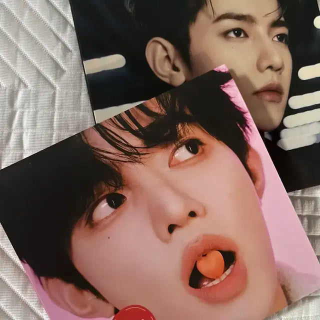 제로베이스원 제베원 장하오 디아이콘 포카 증사 인형 일괄