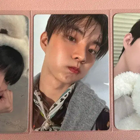 더보이즈 포카 양도