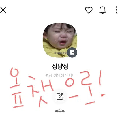 보넥도 성호 포카 급처분해요!