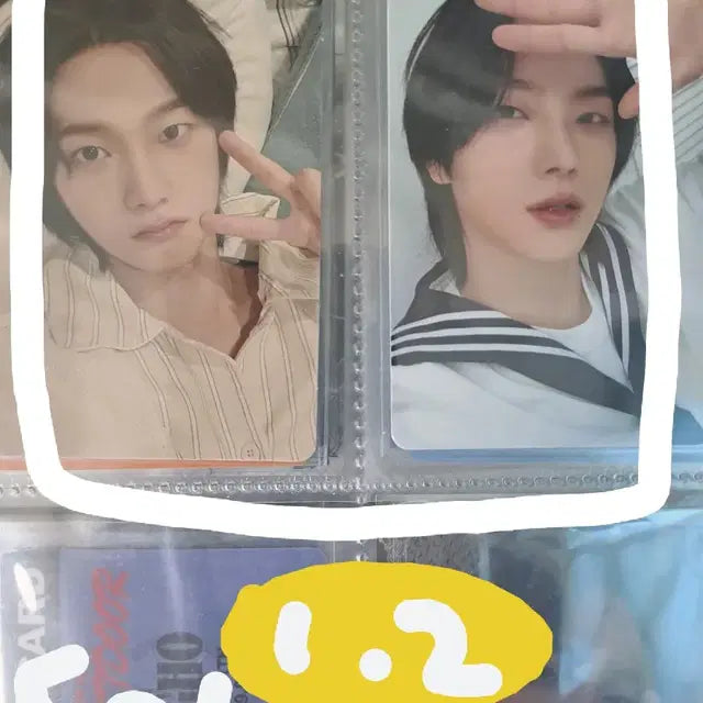 보넥도 성호 포카 급처분해요!