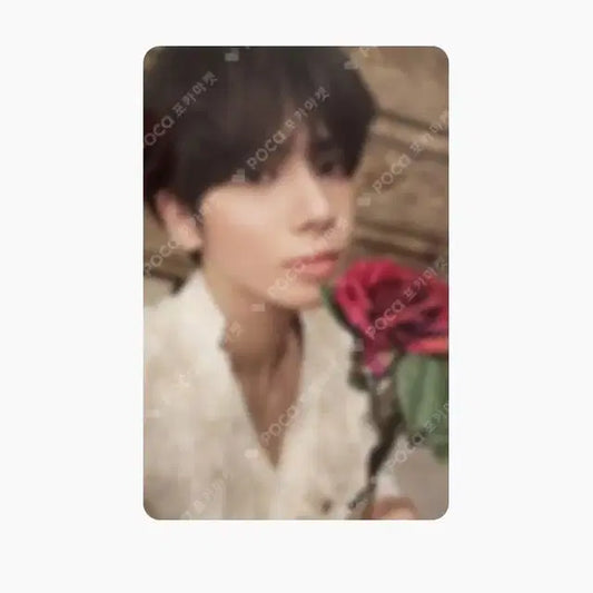 투바투 태현 포카