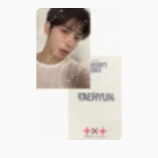 투바투 태현 포카