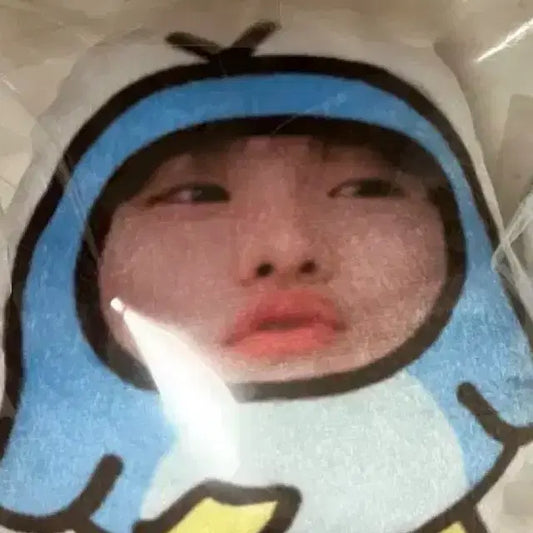 라이즈 소희 비공굿