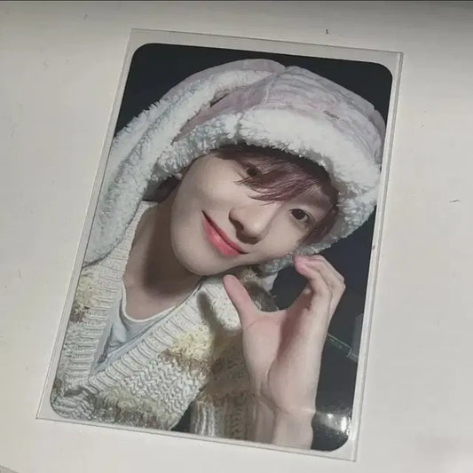 뮤브토끼담요 김운학보이넥스트도어노장르뮤브특전포카미공포