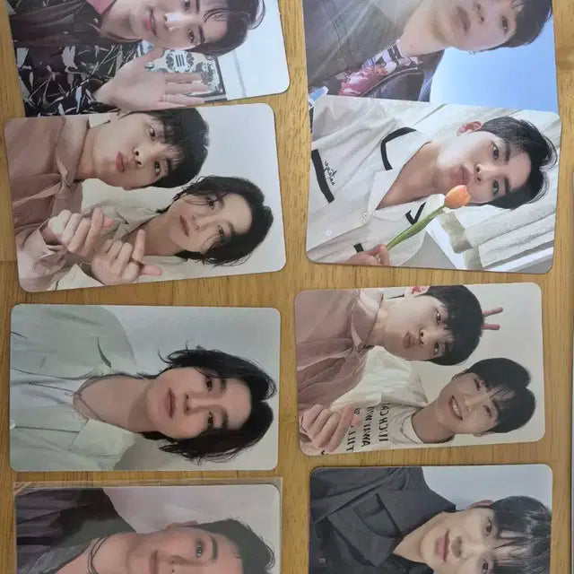 데이식스 원필 영케이 성진 도운 포토카드