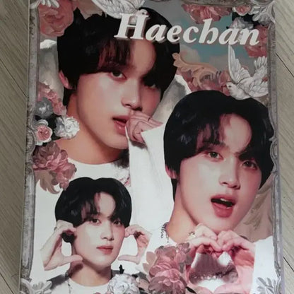 반값 Nct127 엔시티 엔시티드림 해찬 데메테르 바인더 미사용