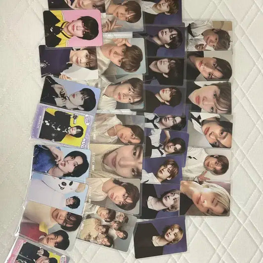 라이즈 포카