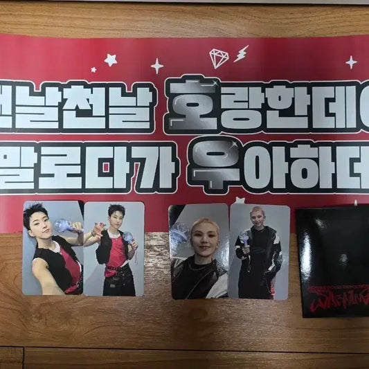 호우 부산 첫콘 슬로건+캐럿존