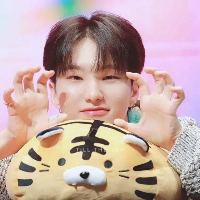 호시 포카 리스트