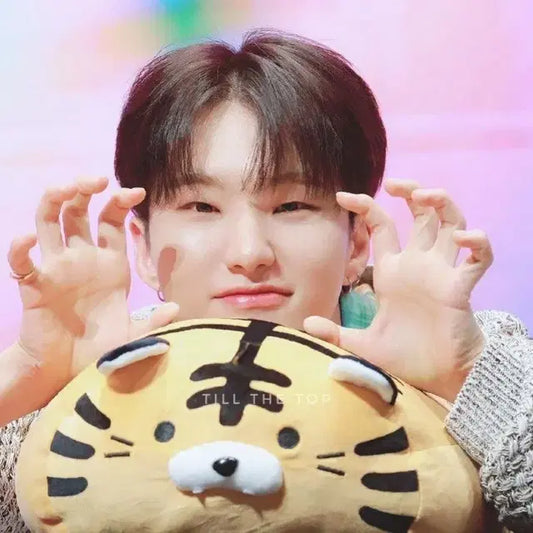 호시 포카 리스트