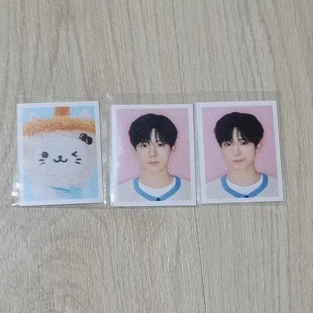 유우시 스테디 엠디 증사 팔아요!