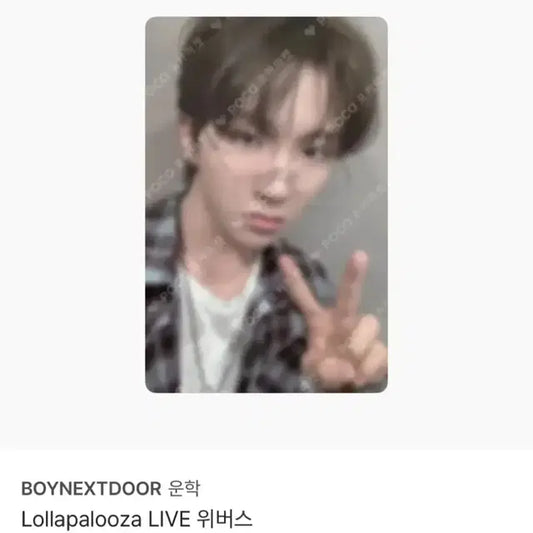 보넥도 운학 롤라팔루자