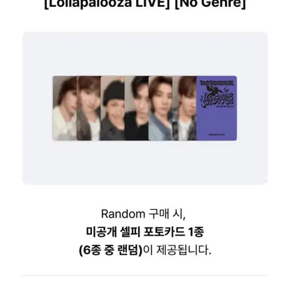 보넥도 운학 롤라팔루자