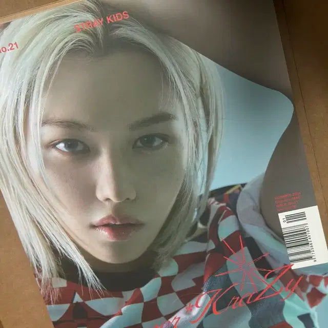 스트레이키즈 필릭스 일괄