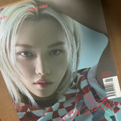 스트레이키즈 필릭스 일괄