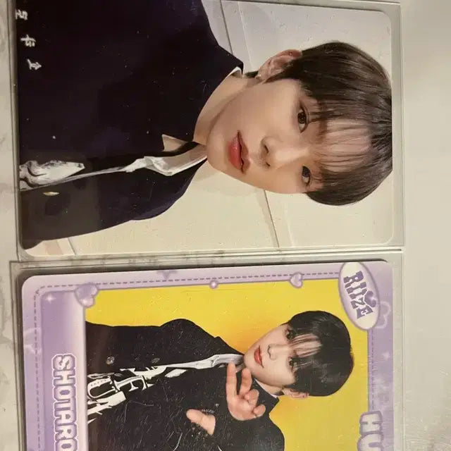 라이즈  쇼타로 포카 허그