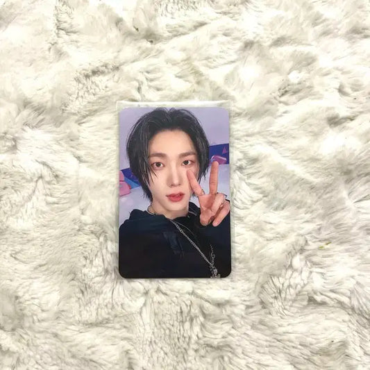 보이넥스트도어 보넥도 성호 how? 디어마이뮤즈 특전 포카 양도