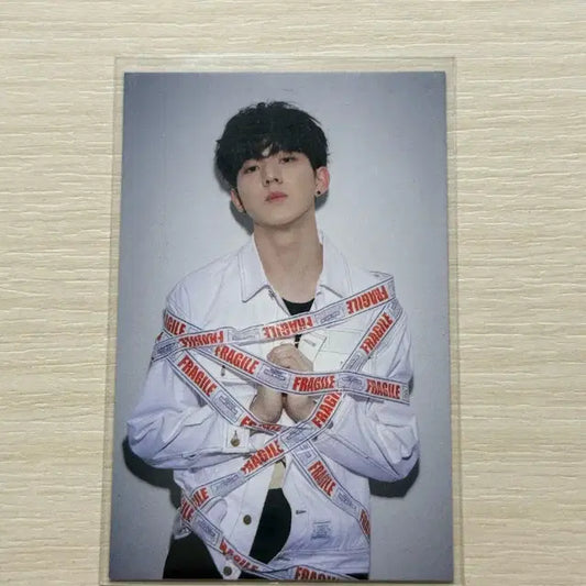 도운 결박포카 데이식스