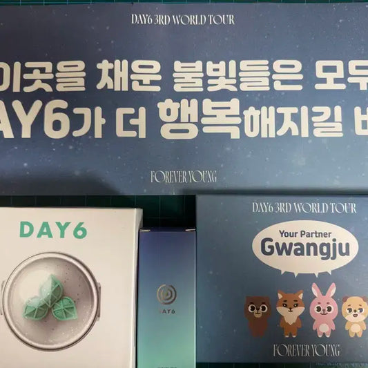 (일괄판매) 데이식스 공식 응원봉 (마데워치)큰버전 + 작은버전(키링)