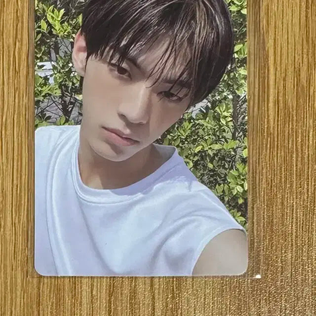 투어스 도훈 미국 미공포 타겟 특전 포카