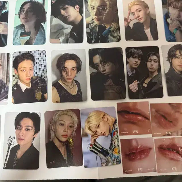 스키즈 포토카드 일괄