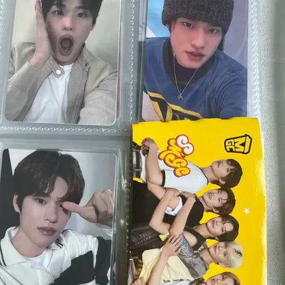 라이즈소희포카판매