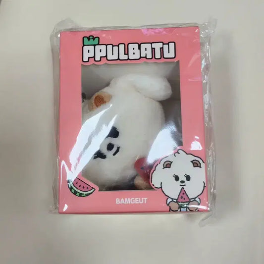 미개봉 뿔바투 밤긋이 일본 수박 키링 투바투 범규