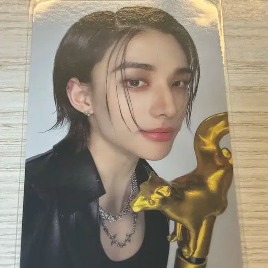 ATE 현진 포카