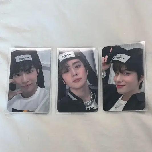 급처) 엔시티 포카 도재정 양도합니다 127 nct