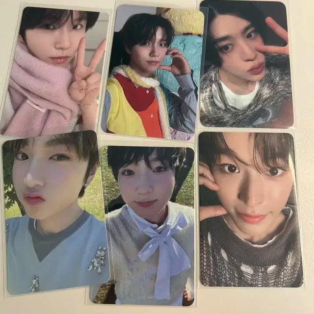 위시 포카 일괄