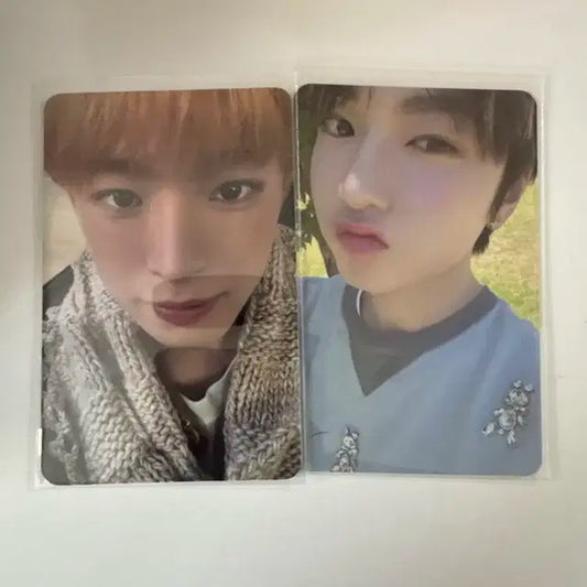 엔시티 사쿠야 유우시 포카 팔아요
